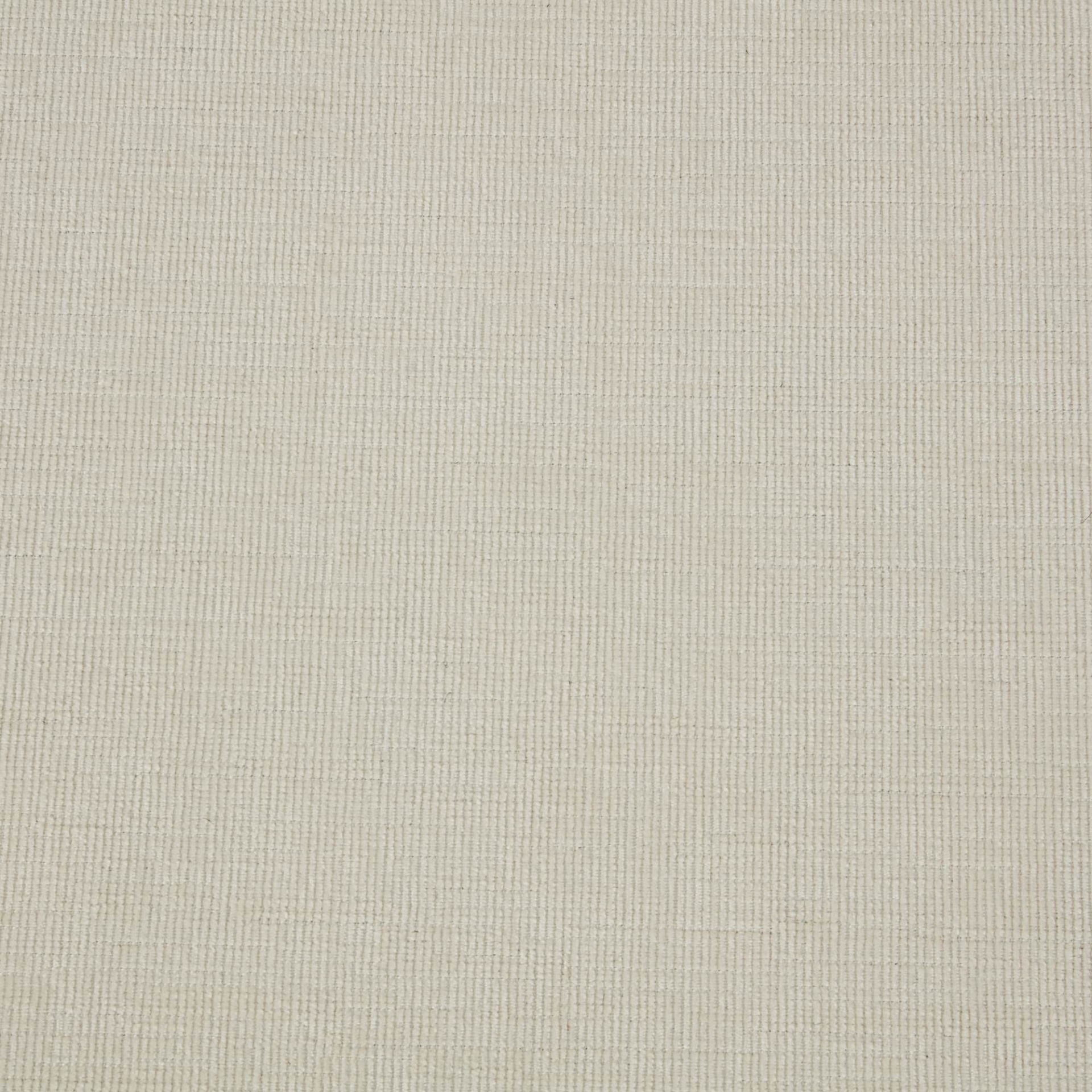 80904988
