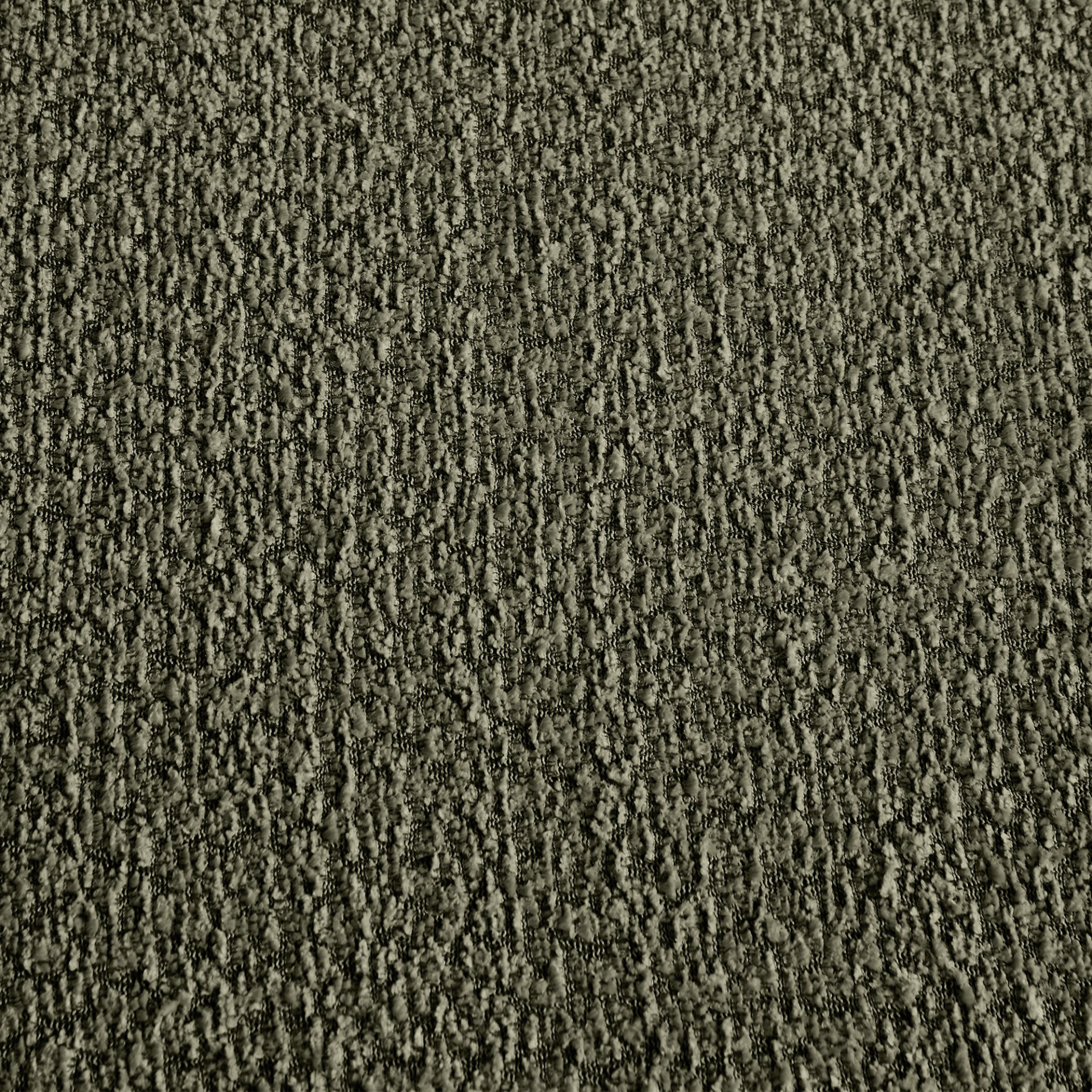 80904365